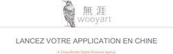 LANCEZ VOTRE APPLICATION EN CHINE - A Cross-Border Digital Solutions Agency - Wooyart