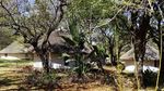 AFRIQUE DU SUD Vacances-Safari - à MAKUTSI SAFARI SPRINGS LODGE - Séjour insolite dans un lodge - Montessuit Voyages