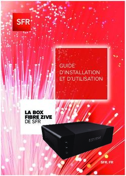 GUIDE D'INSTALLATION ET D'UTILISATION - LA BOX FIBRE ZIVE DE SFR - assistance SFR