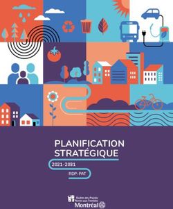 PLANIFICATION STRAT&Eacute;GIQUE - 2021-2031 RDP-PAT - Montr&eacute;al
