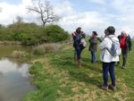 Étangs d'Armagnac - Les sites Natura 2000 dans le Gers