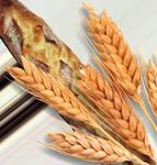 Le Compagnon du Boulanger - Votre pain frais artisanal disponible 24h/24 - e n continu !