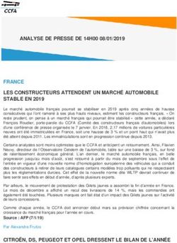 FRANCE LES CONSTRUCTEURS ATTENDENT UN MARCH&Eacute; AUTOMOBILE STABLE EN 2019 - CCFA