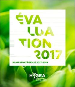PLAN STRATÉGIQUE 2017-2019 - Hygea