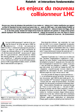 Les enjeux du nouveau collisionneur LHC - Relativit&eacute; et interactions fondamentales