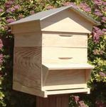 Menace sur les pollinisateurs sauvages : l'apiculture coupable ? - L'Abeille Rousse