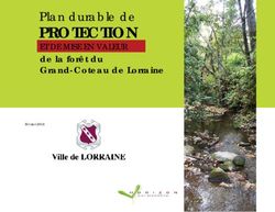 PROTECTION Plan durable de - Février 2016 - Ville Lorraine