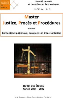 Master Justice, Proc&egrave;s et Proc&eacute;dures - UPVD