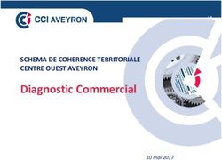 Diagnostic Commercial - SCHEMA DE COHERENCE TERRITORIALE CENTRE OUEST AVEYRON - 10 mai 2017