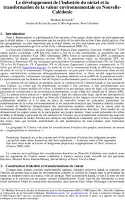 Le d&eacute;veloppement de l'industrie du nickel et la transformation de la valeur environnementale en Nouvelle