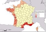 Arr&ecirc;t&eacute; portant d&eacute;rogation &agrave; la protection stricte des esp&egrave;ces - Tortues Marines (2021-2026) - Fran&ccedil;oise Claro & Fanny Girard (MNHN) - GTMF