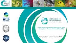 Arrêté portant dérogation à la protection stricte des espèces - Tortues Marines (2021-2026) - Françoise Claro & Fanny Girard (MNHN) - GTMF