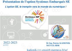 Pr&eacute;sentation de l'option Syst&egrave;mes Embarqu&eacute;s SE 2022-2023 - L'option SE, le tremplin vers le monde du num&eacute;rique !