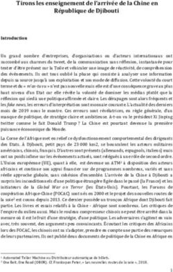Tirons les enseignement de l'arriv&eacute;e de la Chine en R&eacute;publique de Djibouti