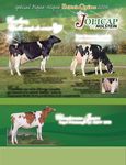 Au coeur des g&eacute;n&eacute;rations Le troupeau Bonaccueil re&ccedil;oit la famille Holstein G&eacute;nomique et marqueurs g&eacute;n&eacute;tiques - Pour une s&eacute;lection plus efficace et ...