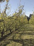 Gel des cultures Aides aux exploitants agricoles - Pr&eacute;fecture ...