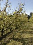 Gel des cultures Aides aux exploitants agricoles - Pr&eacute;fecture ...