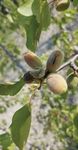 Gel des cultures Aides aux exploitants agricoles - Pr&eacute;fecture ...