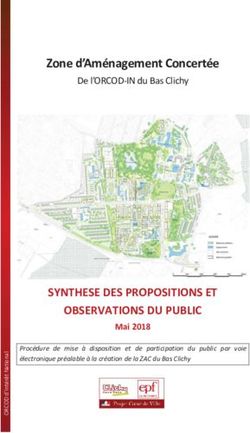 SYNTHESE DES PROPOSITIONS ET OBSERVATIONS DU PUBLIC - ZAC Bas Clichy