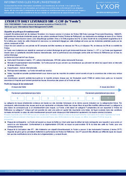 LYXOR ETF DAILY LEVERAGED SMI - C-CHF (le "Fonds")