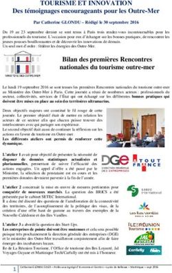 TOURISME ET INNOVATION - Des t&eacute;moignages encourageants pour les Outre-Mer