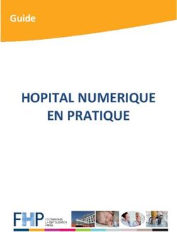 HOPITAL NUMERIQUE EN PRATIQUE - Guide