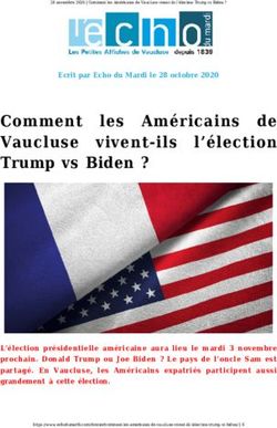 Comment les Américains de Vaucluse vivent-ils l'élection Trump vs Biden ?