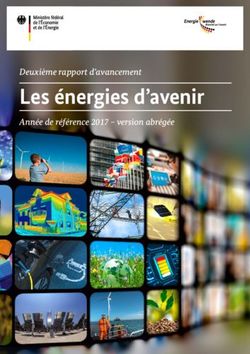 Les énergies d'avenir - Deuxième rapport d'avancement Année de référence 2017 - version abrégée - BMWi