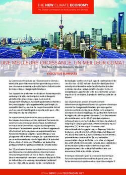 UNE MEILLEURE CROISSANCE, UN MEILLEUR CLIMAT - The New Climate Economy Report