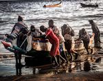 &Eacute;VALUATION DES PERTES - APR&Egrave;S CAPTURE DANS LES P&Ecirc;CHERIES MARITIMES ARTISANALES DU TOGO