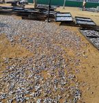 &Eacute;VALUATION DES PERTES - APR&Egrave;S CAPTURE DANS LES P&Ecirc;CHERIES MARITIMES ARTISANALES DU TOGO