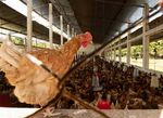 Programme de Coopération suisse au Burkina Faso 2021-2025