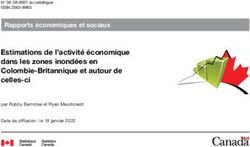 Estimations de l'activit&eacute; &eacute;conomique dans les zones inond&eacute;es en Colombie-Britannique et autour de celles-ci - Rapports &eacute;conomiques et sociaux