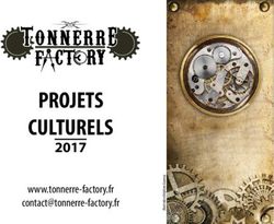 PROJETS CULTURELS 2017 - www.tonnerre-factory.fr - Tonnerre Factory