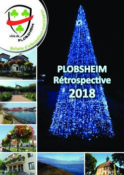2018 PLOBSHEIM Rétrospective - Commune de Plobsheim