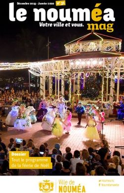 Votre ville et vous - Dossier Tout le programme de la f&eacute;erie de No&euml;l - Noumea.nc