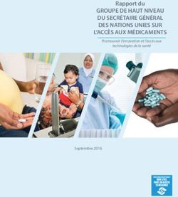 GROUPE DE HAUT NIVEAU DU SECRÉTAIRE GÉNÉRAL DES NATIONS UNIES SUR L'ACCÈS AUX MÉDICAMENTS - Rapport du Promouvoir l'innovation et l'accès aux ...