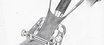 THESE - ECOLE NATIONALE VETERINAIRE DE LYON - VetAgro Sup