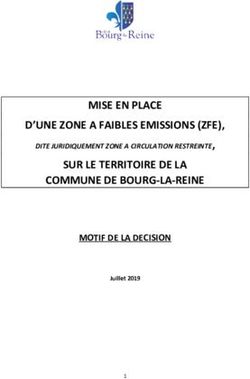 MISE EN PLACE D'UNE ZONE A FAIBLES EMISSIONS (ZFE), SUR LE TERRITOIRE DE LA COMMUNE DE BOURG-LA-REINE - MOTIF DE LA DECISION