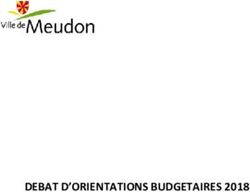 DEBAT D'ORIENTATIONS BUDGETAIRES 2018 - Ville de ...