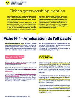 Fiches Greenwashing Aviation - Stay Grounded