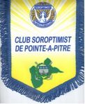 Club de Pointe-à-pitre - Un PETIT BOIS de Suzanne NOËL pour les Mal-Voyants et les Aveugles de la Guadeloupe - Soroptimist International ...