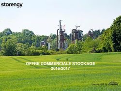 OFFRE COMMERCIALE STOCKAGE 2016/2017 - Storengy