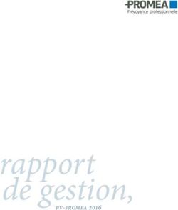 Rapport de gestion, pv-promea 2016