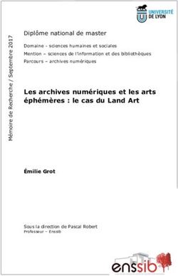 Les archives numériques et les arts éphémères : le cas du Land Art - Enssib