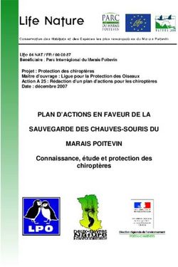 PLAN D'ACTIONS EN FAVEUR DE LA SAUVEGARDE DES CHAUVES-SOURIS DU MARAIS POITEVIN
