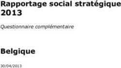 Rapportage social strat&eacute;gique 2013 - Questionnaire compl&eacute;mentaire - Social Security