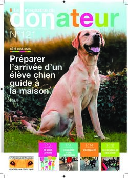 N 121 Pr&eacute;parer l'arriv&eacute;e d'un &eacute;l&egrave;ve chien guide &agrave; la maison - Le magazine du - Chien-guide.org