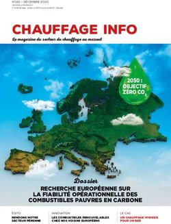 CHAUFFAGE INFO - Informazout