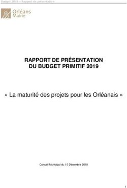 RAPPORT DE PRÉSENTATION DU BUDGET PRIMITIF 2019 - " La Maturité Des ...